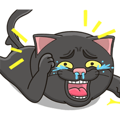 Crazy Black Cat! Animated
