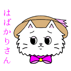 可愛いペルシャ猫　京都弁