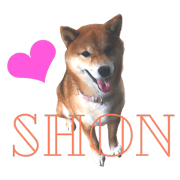 shibainushon