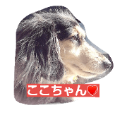 coco chan No.2 coco chan No.2