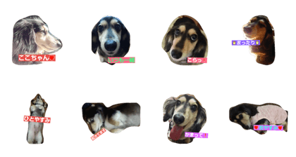 coco chan No.2 coco chan No.2