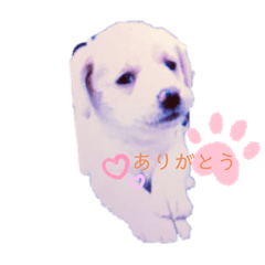 rina_20210612001952