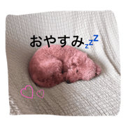 plumfamily plumfamily