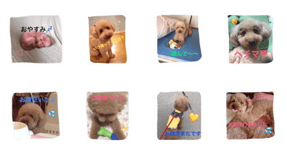 plumfamily plumfamily