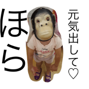 jizoubustampupu jizoubustampupu