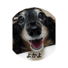 kuu_20210612142144