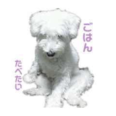 AOI_20210611013458