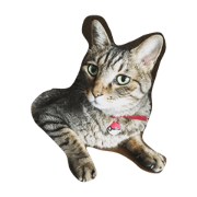 myumyumyunomyu myumyumyunomyu