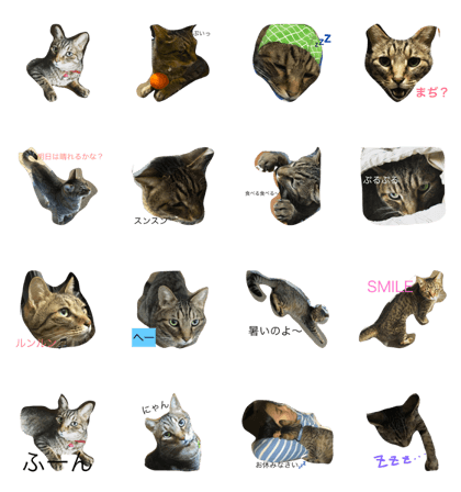 myumyumyunomyu myumyumyunomyu