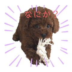 naho_20210611221727