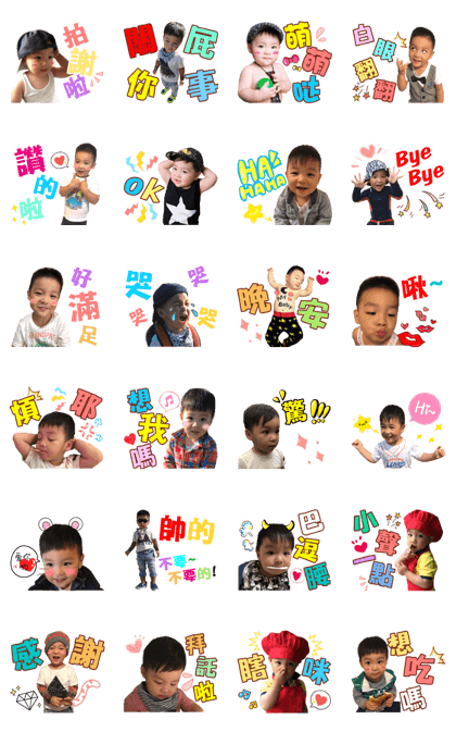 Fat ball small daily