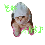 miyakawaii miyakawaii