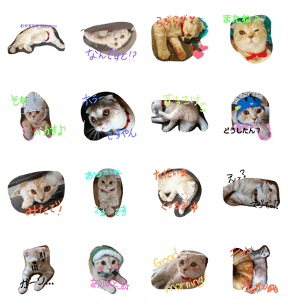 miyakawaii miyakawaii