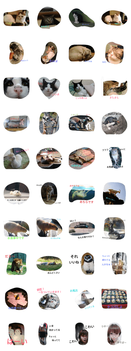 cat&me&etc cat&me&etc