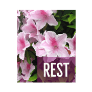 The landscape & Clock The landscape & Clock