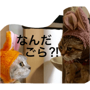 Hime and my friends Hime and my friends