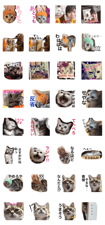 Hime and my friends Hime and my friends