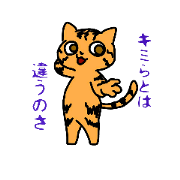 Crazy CATS Crazy CATS