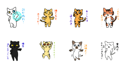 Crazy CATS Crazy CATS