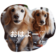 soratokaito soratokaito