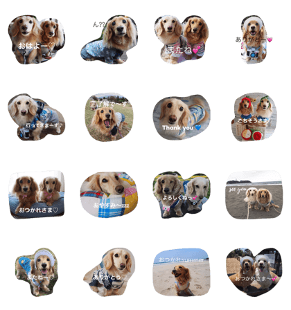 soratokaito soratokaito