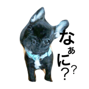 Qoo chan no1 Qoo chan no1