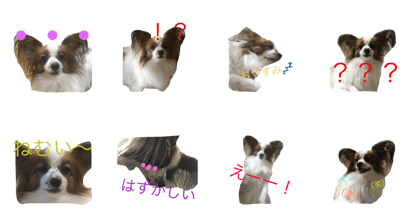 papillon stanp papillon stanp