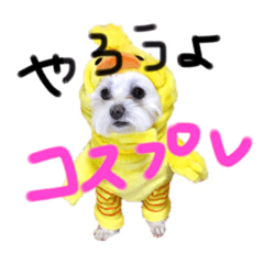 inu no fu