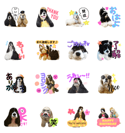 tonarimachino wankosan.