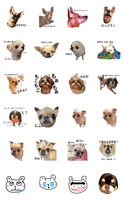 My friend's dogs + my dogs+