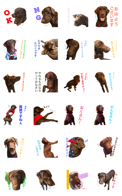 Is it chocolate love?