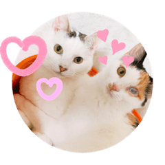 risa_20210612165517