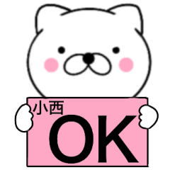 Name cat Konishi