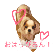 SUGAPARRA-SAN FAMILY