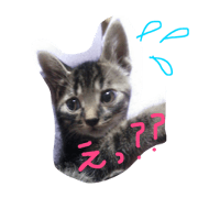 mugitonatsu mugitonatsu