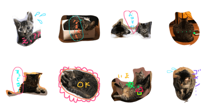 mugitonatsu mugitonatsu