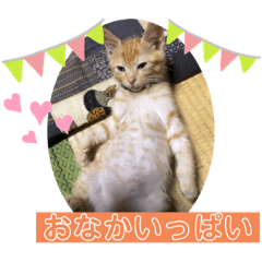 aoi_20210612174402