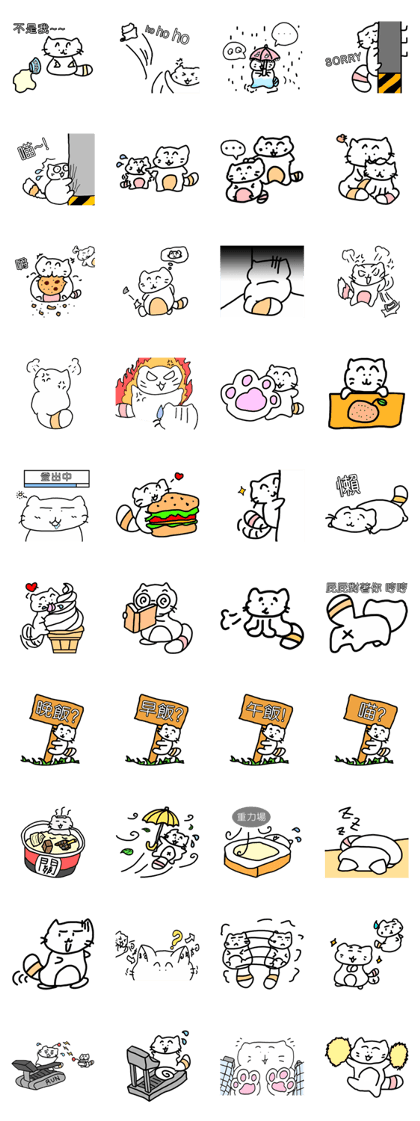 I am miou miou I am miou miou