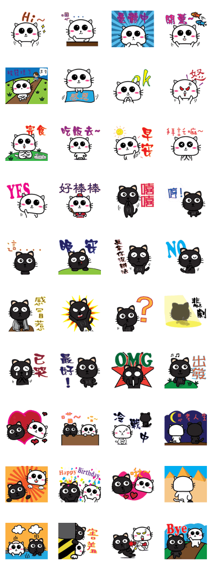 Black and white CATs(Life)