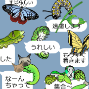 Green caterpillar and Butterfly