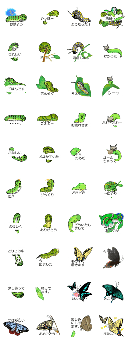 Green caterpillar and Butterfly Green caterpillar and Butterfly