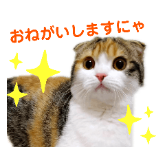 Michiko_20210612163030