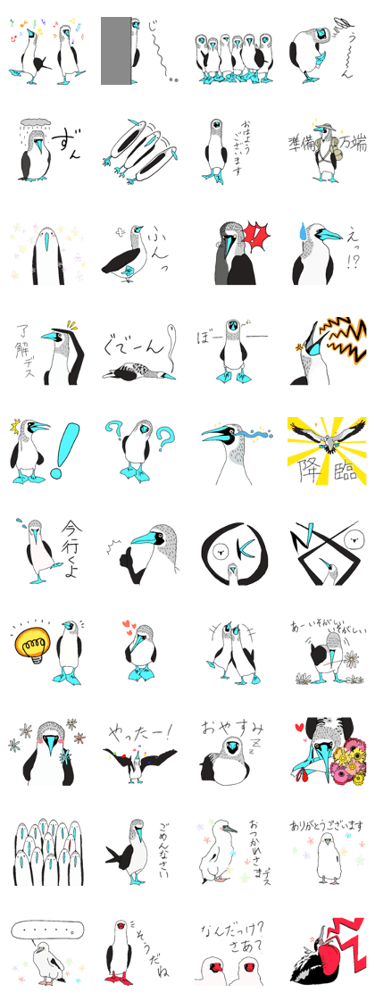 Blue Feet Birds Blue Feet Birds