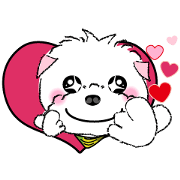 Marchez Pudding Marchez Pudding