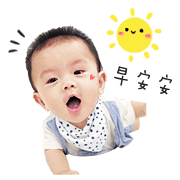 Kiwi's amused and sad Kiwi's amused and sad