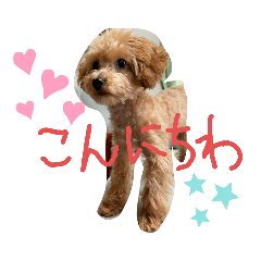 ayumi_20210612132934