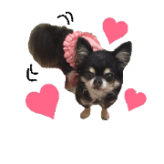 Poohkorine's stickers! Poohkorine's stickers!