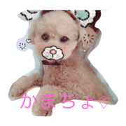 hina's smell hina's smell