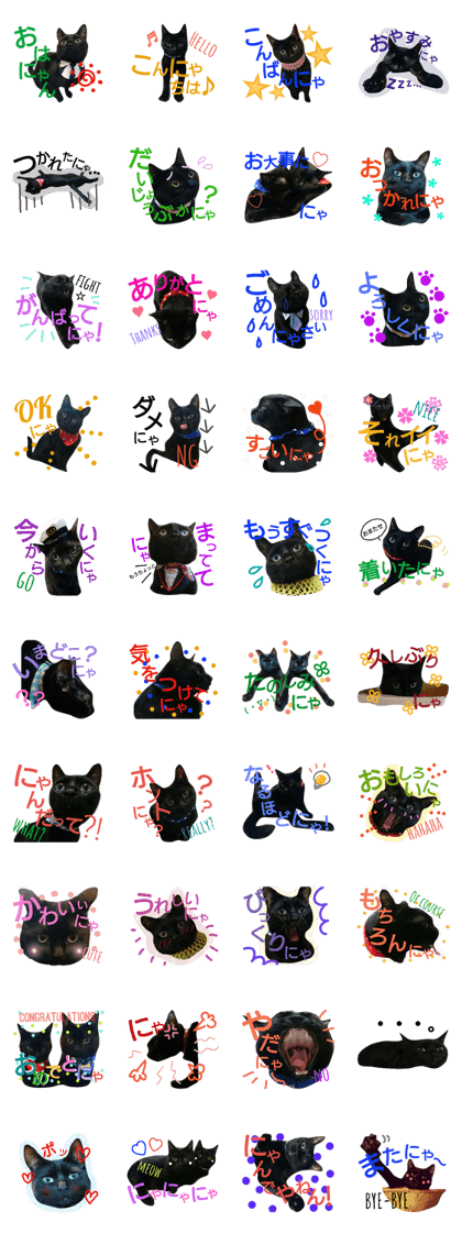 Black cat brothers SORA-RIKU Black cat brothers SORA-RIKU