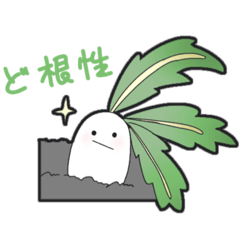 chocomint_20210612151926
